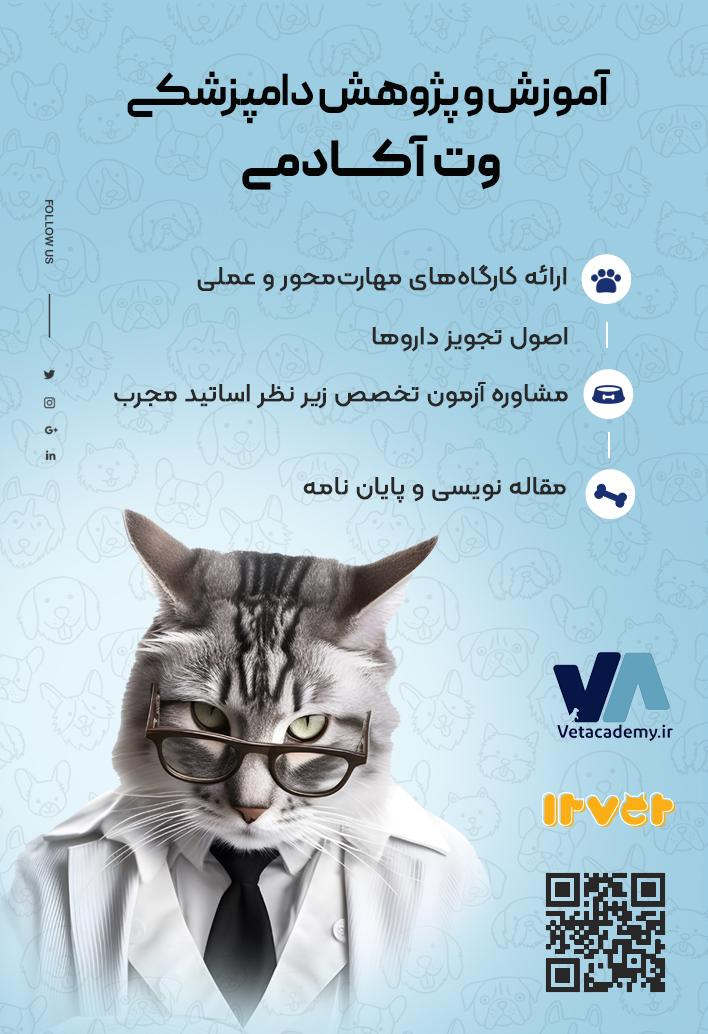 آکادمی تخصصی دامپزشکی